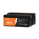 Litime - Batterie Lithium LiFePO4 12V 200Ah plus Batterie solaire et éolienne Stockage avec Panneau solaire, Parfaite pour Camping-Car, Bateau,