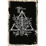 Grupo Erik - Poster harry potter les reliques de la mort symbole