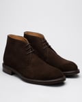 Berwick 1707, Terry 320-Dark Brown Suede