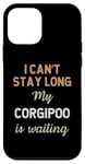 Coque pour iPhone 12 mini Corgipoo Chien Maman Papa Propriétaire de Race Love Puppy