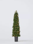 John Lewis Finchley Potted Pre-lit Christmas Tree, Green