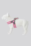 Easy Walk Step In Pet Dog Harness