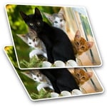 2 x Rectangle Stickers 7.5 cm - Cute Kittens Black Tabby Ginger Cat Cool Gift #2