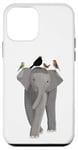 Coque pour iPhone 12 mini Rouge-Gorge Éléphant Oiseau Biologiste Nature Ornithologue