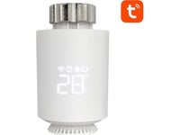 Avatto Trv06 Zigbee 3.0 Tuya Smart Termostathuvud