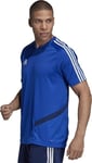 Miesten t-paita Adidas Tiro 19 TR JS DT5285, sininen.