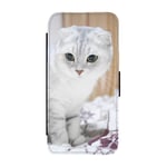 Katt Scottish Fold Samsung Galaxy A25 Flip Mobilfodral