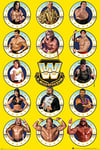 WWE Legends Chrome Poster sport lutte 61 x 91,5 cm