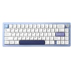 YUNZII AL66 Clavier Mécanique sans Fil, 65% Bouton de Commande en Aluminium Jeu Clavier Bluetooth / 2.4G / Filaire Hot Plug Switch, Clavier RGB pour Win/Mac (Interrupteur à Lait, Bleu)