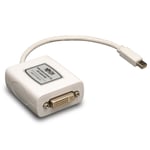 TRIPP LITE 6in Mini DisplayPort to DVI Adapter Converter mDP to DVI-I M/F 6" - videokonverter - hvit