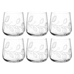 Leonardo Boccio 066438 Lot de 6 petits verres en cristal avec gravure florale Contenance 400 ml Passe au lave-vaisselle Transparent