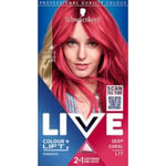 Live Colour  Lift Permanent Pink Hair Dye Lightens hair up to 3 levels Deep Cora