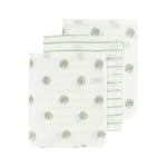 MEYCO Tvättlappar av muslin 3-pack Dot Stripe Soft Green