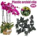 QKP Pince De Jardinage Pince De Fixation De Vigne Pince De Greffage en Plastique Pince à Plante 50pcs Treillis pour Plantes Grimpantes Support De Plante B