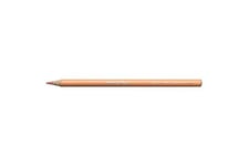 Pastel Pencil Light Orange 049