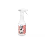 Royal Clean Awning Spray 500 ml