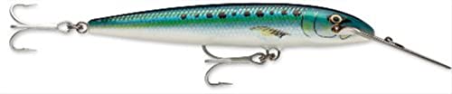 Rapala - Leurre de Pêche Countdown Magnum - Matériel de Pêche avec Corps en Abachi - Leurre Pêche en Mer - Profondeur de Nage 3.9-4.5m - Taille 11cm / 24g - Fabriqué en Estonie - Sardine Standard