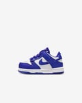 Nike Dunk Low Baby/Toddler Shoes