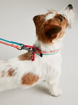 Joules Rainbow Stripe Dog Collar L - Medium