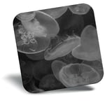 Awesome Fridge Magnet bw - Beautiful Jellyfish Sea Creatures  #41061