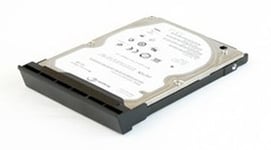 Origin Storage - Disque SSD - 512 Go - interne - 3.5" - SATA 6Gb/s - pour Dell OptiPlex 380, 380 N-Series