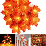 1,5 m 10 Led Halloween Kurpitsa Ghost Luurankot Bat Spider Led Light String Festivaalibaari Kotijuhlasisustus Halloween-koriste