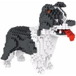 950 delar. Border Collie Hund (Fårhund). Figur att montera med nanoblock P