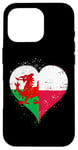 iPhone 16 Pro Half Polish Half Welsh A Poland Wales Flag in Heart Case