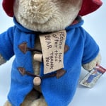 Paddington Bear Teddy Plush Rainbow Designs 