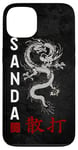 iPhone 13 Dragon Sanda Chinese Boxing Case