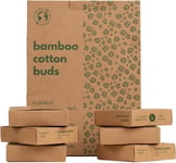 600 Bamboo Cotton Buds 100 EcoFriendly Biodegradable  Cotton Wool Buds Q Tips  C