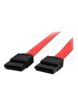 StarTech.com 12in SATA Serial ATA Cable - SATA cable - 30.5 cm