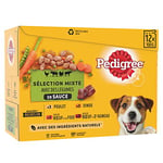 PEDIGREE Repas pour Chien - 48 Sachets Fraîcheur (Lot de 4 Packs 12x100g) - Pâtée en Sauce - Boeuf / Dinde / Agneau / Poulet - Nourriture Complète & Equilibrée avec des Ingrédients Naturels