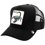 Casquette Goorin Bros  -