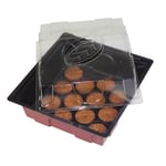 Windhager Mini-Serre d’Interieur avec 12 pastilles de Germination sans Tourbe, 19x19.5x11 cm, 06860