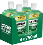 Listerine Fresh Burst Fluoride Antibacterial Mouthwash Pack of 4 (4 x 750ml), Helps Kill Up to 99% of Germs Left after Brushing and Reduce Plaque, Mouthwash to Freshen Breath and Maintain Healthy Gums