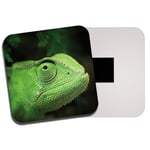 Green Chameleon Fridge Magnet - Iguana Lizard Tropical Jungle Cool Gift #8590