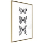 Plakat - Three Butterflies - 20 x 30 cm - Guldramme