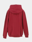 Sweat Capuche Hooded Quiksilver Graphichoodie Otlr Rouge