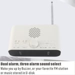 FM Radio Snooze Function Dual Alarm Clock Radio 10m Wireless Range