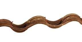 REPTILES PLANET Liane naturelle pour terrarium reptiles Curly Vine longeur 180-200 cm diamètre 2-3 cm