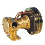 Ancor Impellerpump med Magnetkoppling 1 1/2" 24V