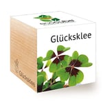 Feel Green Ecocube Trèfle Porte-Bonheur Durable Idée Cadeau (100% écologique), Grow Your Own/Kit de Culture, Plantes dans Un Cube en Bois, fabriqué en Autriche