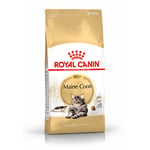 Royal Canin Maine Coon Adult Cat