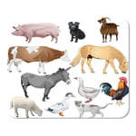 Mousepad Computer Notepad Office Sheep of Different Farm Animals Cow Pig Rooster Duck Donkey Goat Goose Home School Game Player Computer Worker Inch