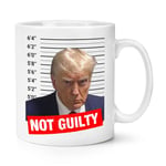 Not Guilty Donald Trump Mug Shot 10oz Mug Cup Funny Jail Lock Him Up Prison