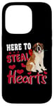 iPhone 14 Pro Here To Steal Hearts Funny St Bernard Dog Valentines Day Case