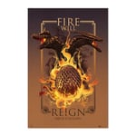 Grupo Erik Game of Thrones House of the Dragon Fire Will Reign Poster - 36 x 24 inches / 91.5 x 61 cm - Shipped Rolled Up - Cool Posters - Art Poster - Posters & Prints - Wall Posters