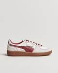 Puma Palermo OG Suede Sneaker Warm White