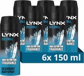 Lynx Ice Chill Aerosol Bodyspray 48 hours of odour-busting zinc tech iced mint